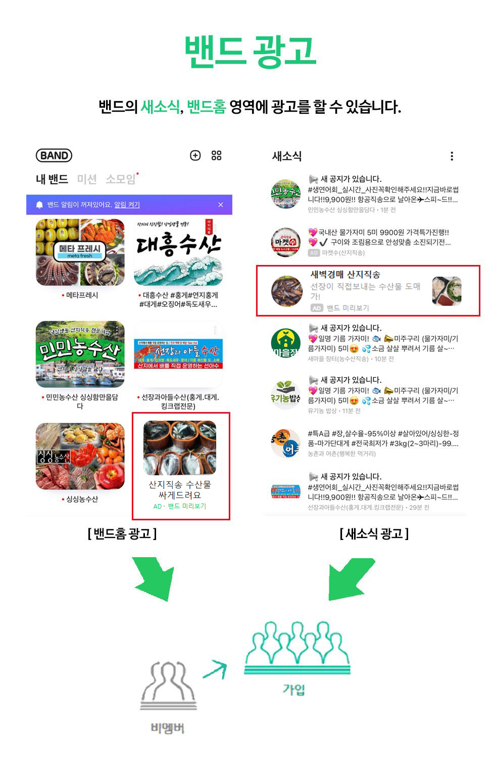 네이버밴드 광고 서비스